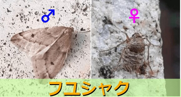 Thumbnail of post image 058